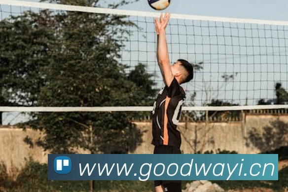 星空app网页登录入口品牌故事